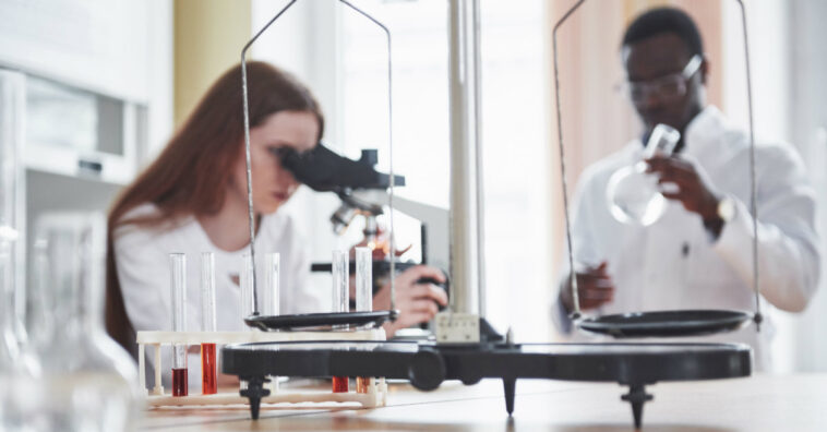 Cientistas recriam remédio da Idade Média contra bactéria e descobrem que ele funciona mesmo