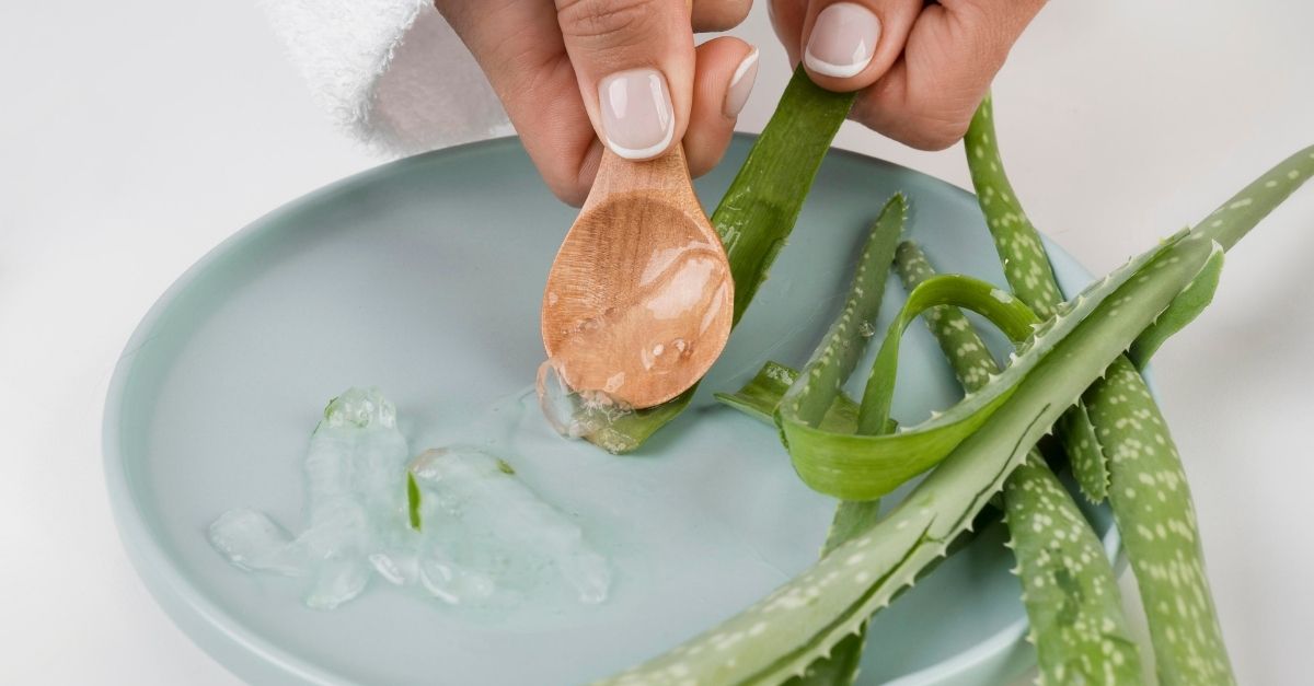 Como conservar babosa