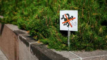 Como evitar que cachorro faça xixi no seu portão