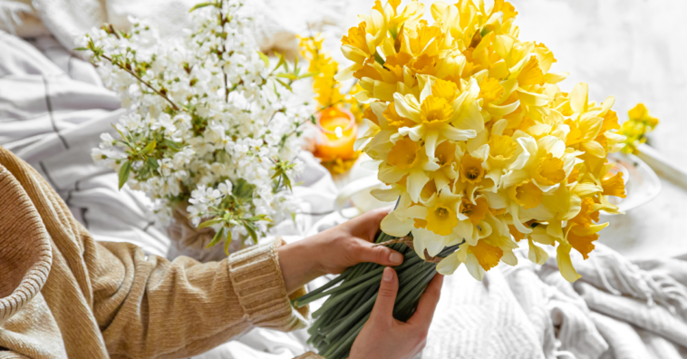 Como fazer as flores de dia dos namorados durarem mais