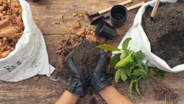 Como fazer substratos caseiros para todos os tipos de planta