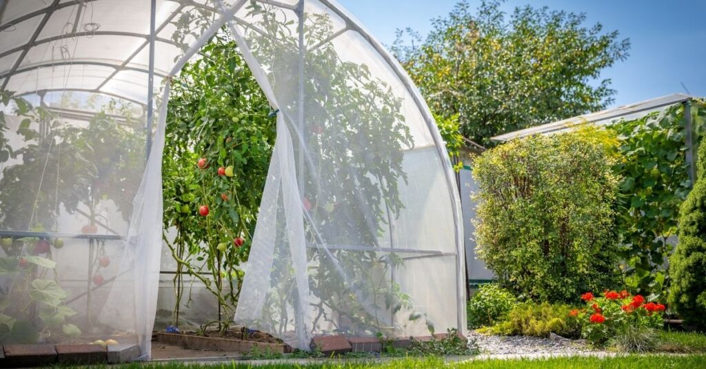 Como fazer uma estufa simples para cultivar alimentos e plantas