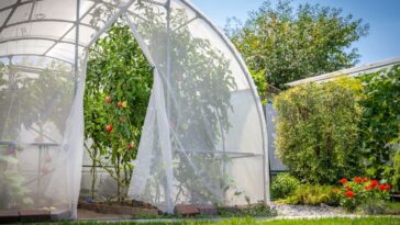 Como fazer uma estufa em casa