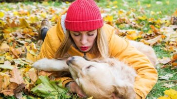 Como tirar pelo de cachorro da roupa