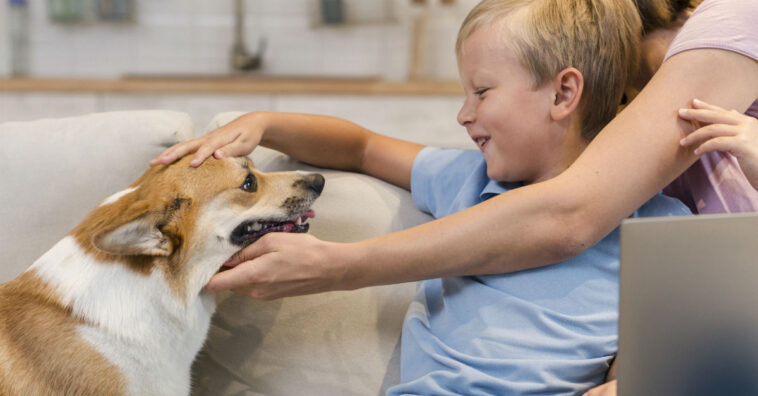 Coração de cães acelera quando escutam eu te amo