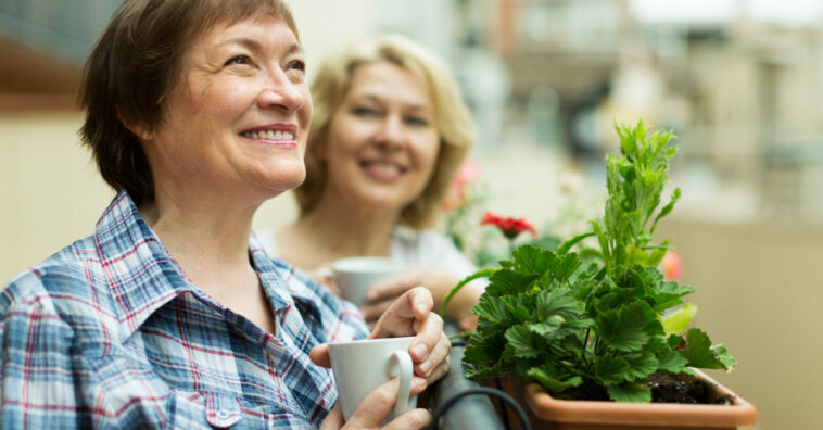 Cuidar de plantas pode ajudar a tratar a depressão
