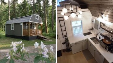 casinha aconchegante