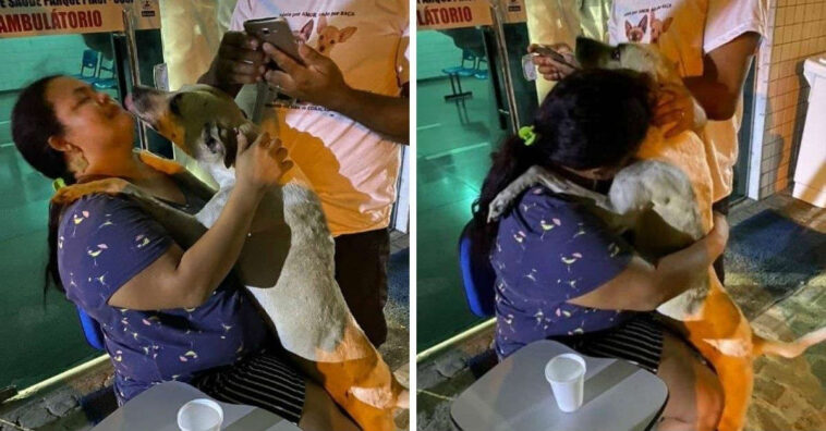 Depois e perder a mãe com covid, mulher adota cachorro que a consolou na saída do hospital