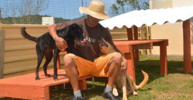 Detentos cuidam de cachorros resgatados e têm pena diminuída