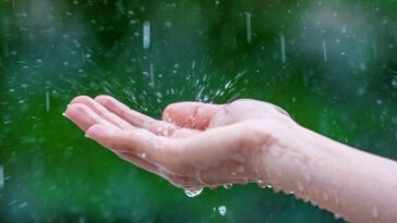 Dicas para reaproveitar a água da chuva
