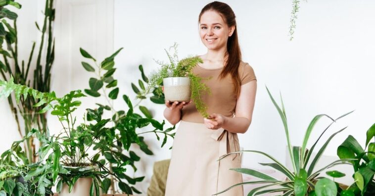 como ter mais espaço para plantas em casa