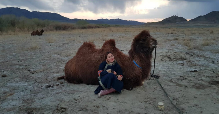 Ela quer percorrer 12 mil quilômetros de camelo