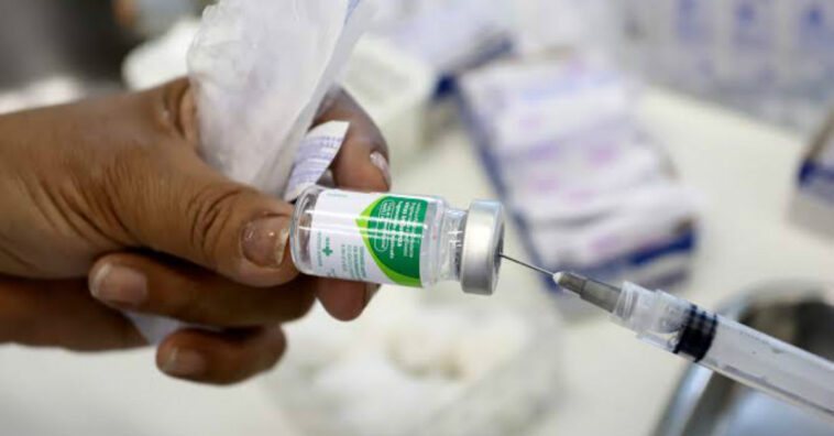 Em 2020, adultos de 55 a 59 também deverão tomar vacina da gripe