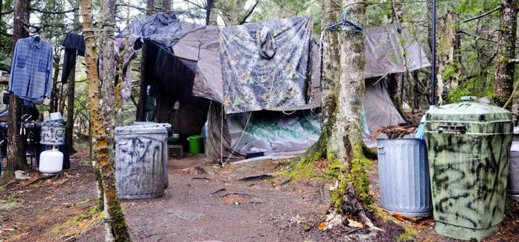 Eremita que se afastou por quase 30 anos