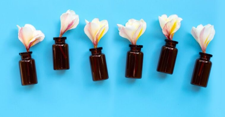 Essências fáceis de encontrar para manter a casa sempre com cheirinho de limpeza