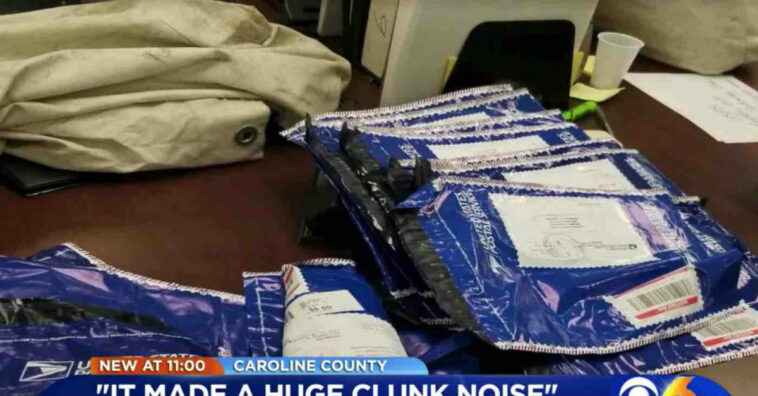 Família encontra pacotes de dinheiro na estrada e devolve para a polícia