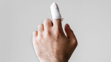 Fases da cicatrização