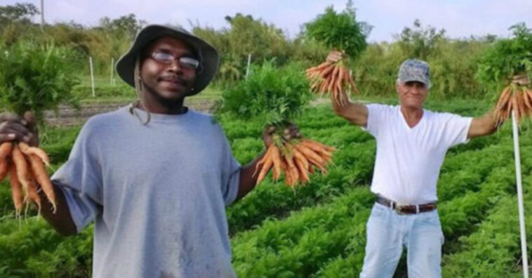 Fazenda de orgânicos só contrata pessoas que estavam em situação de rua