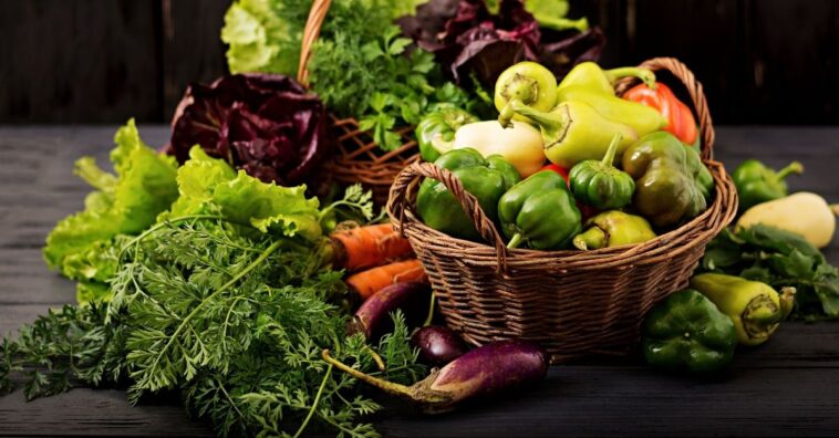 Folhas verde-escuras