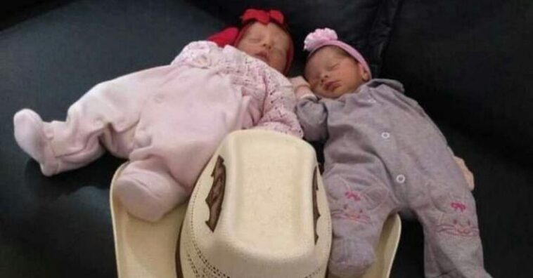 Gêmeas recém-nascidas morrem depois de ataque de cachorro