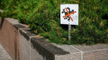 Garrafa d'água cachorro xixi