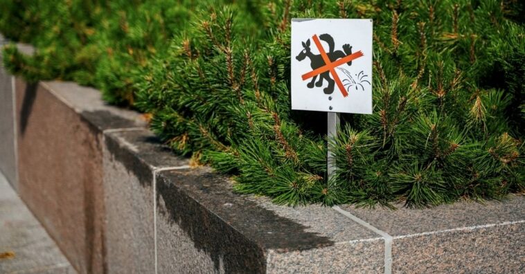 Garrafa d'água cachorro xixi