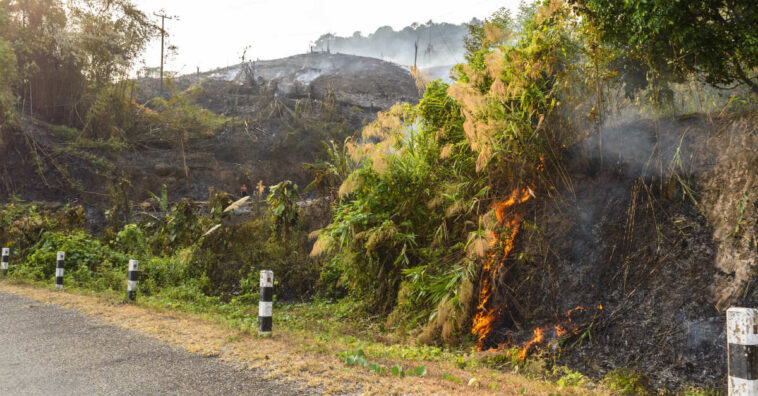Gel que impede queimadas está em fase de testes nos EUA