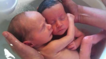 Gêmeos recém-nascidos