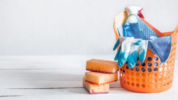 Hábitos de limpeza dona de casa BR x PT