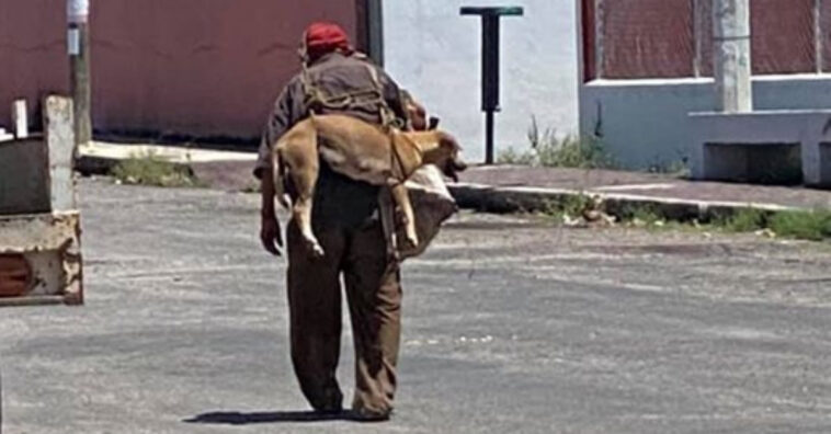 Homem carrega cachorro nas costas para evitar que ele queime as patinhas