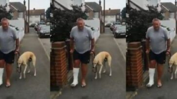 Homem manco gasta mais de R$2 mil em veterinário e descobre que seu cachorro o imitava