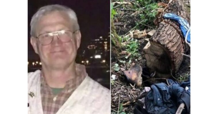 Homem que ficou preso em árvore consegue sobreviver comendo folhas