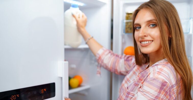 Itens para ter sempre dentro da geladeira e deixá-la sem cheiros