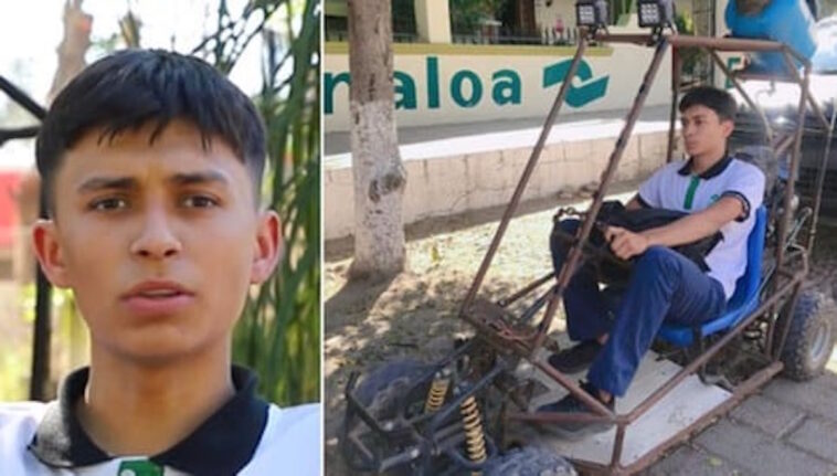 Carro Sustentável de Material Reciclado