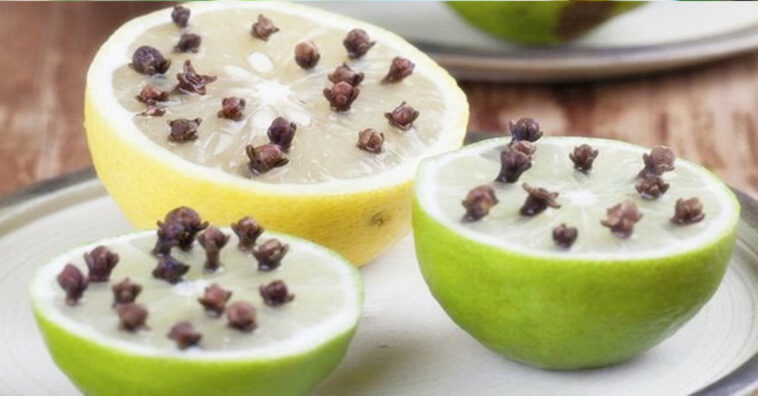 Limão com cravo-da-índia um repelente de moscas