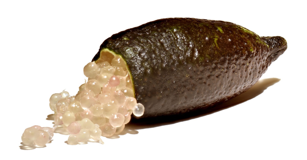 Caviar de limón qué es y por qué cuesta tanto eConsejos