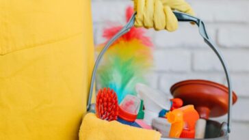 Limpeza caprichada passo a passo