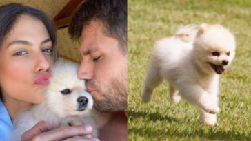 Mari Gonzalez chora morte do seu cachorrinho que foi atacado por outro cão