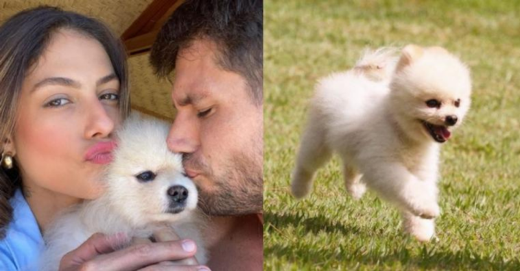 Mari Gonzalez chora morte do seu cachorrinho que foi atacado por outro cão