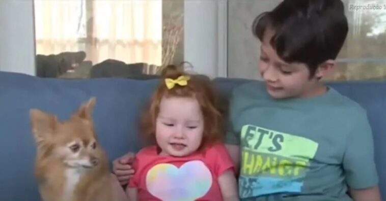 Menino salva irmã mais nova que se afogava