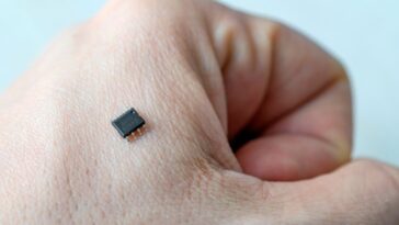 Microchip