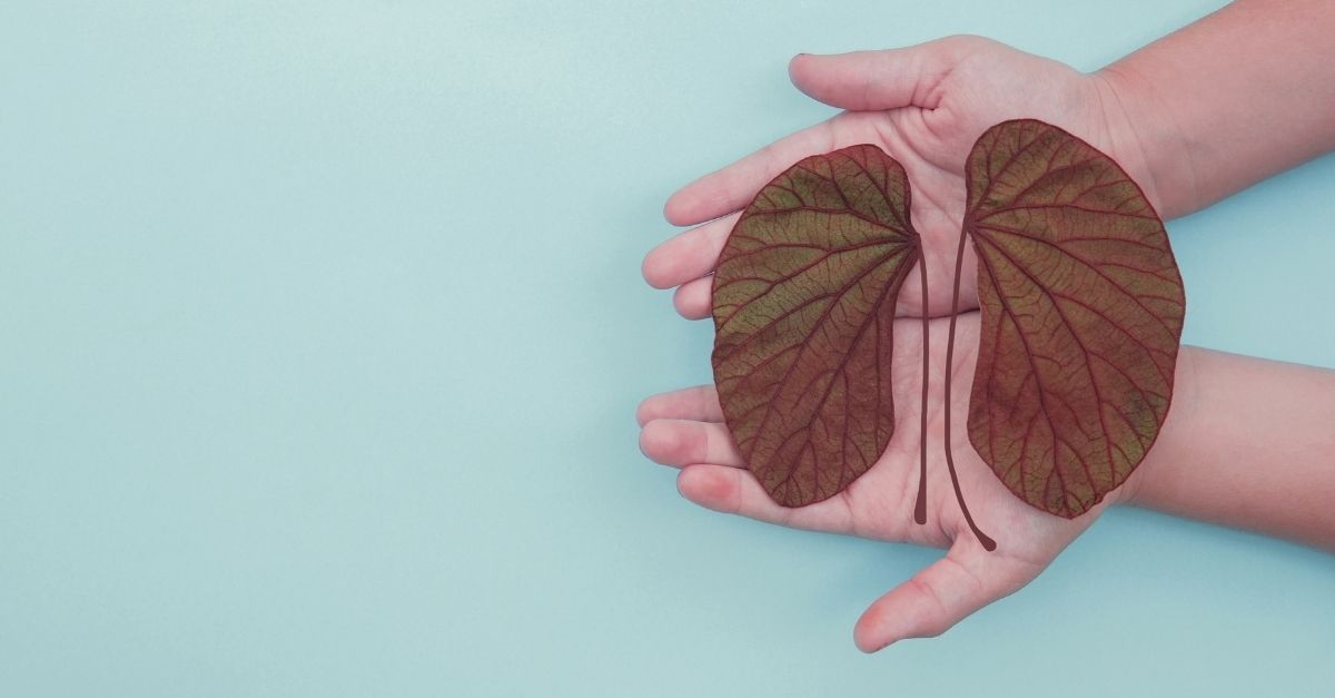 Mitos sobre pedras nos rins