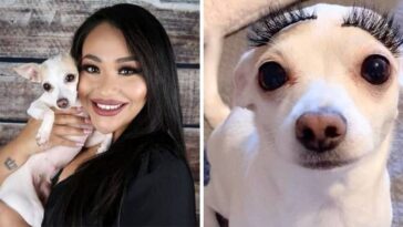 Mulher coloca unhas postiças em sua cachorrinha