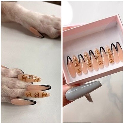 unhas postiças na cachorra