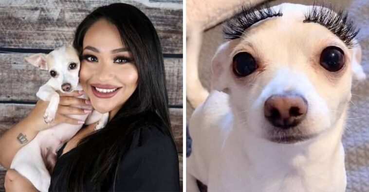 Mulher coloca unhas postiças em sua cachorrinha