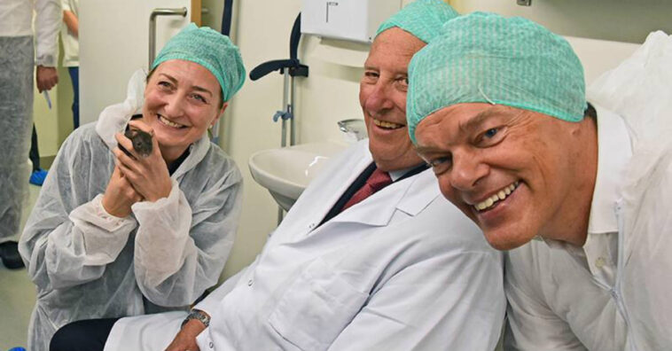 Nova pesquisa ajuda a entender melhor o Alzheimer