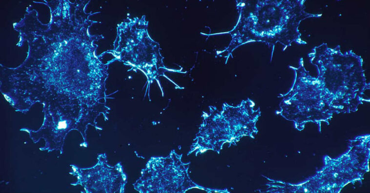 Novos casos da ameba que 'come cérebro' deixam EUA em alerta