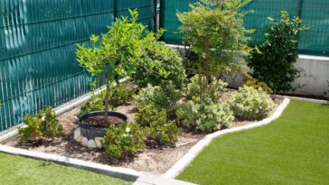 O que plantar para ter um jardim na frente de casa