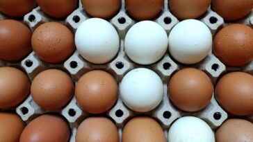 Ovo vermelho ou branco