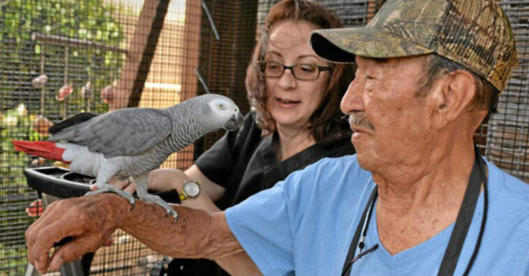 Papagaio foge de casa e volta 4 anos depois falando espanhol